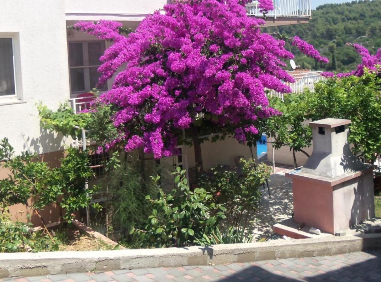 Apartmani Lucija - B&B Trogir