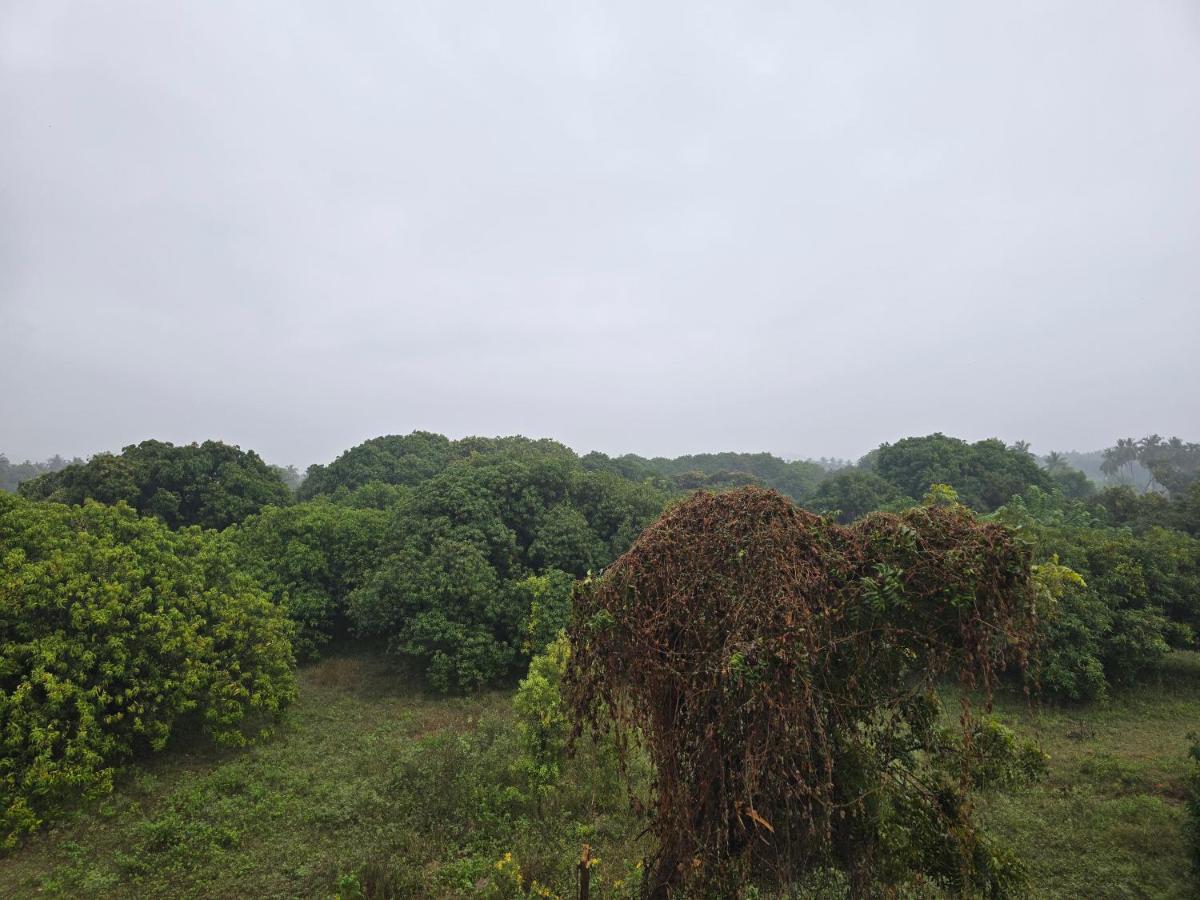 Doppelzimmer mit Gartenblick
