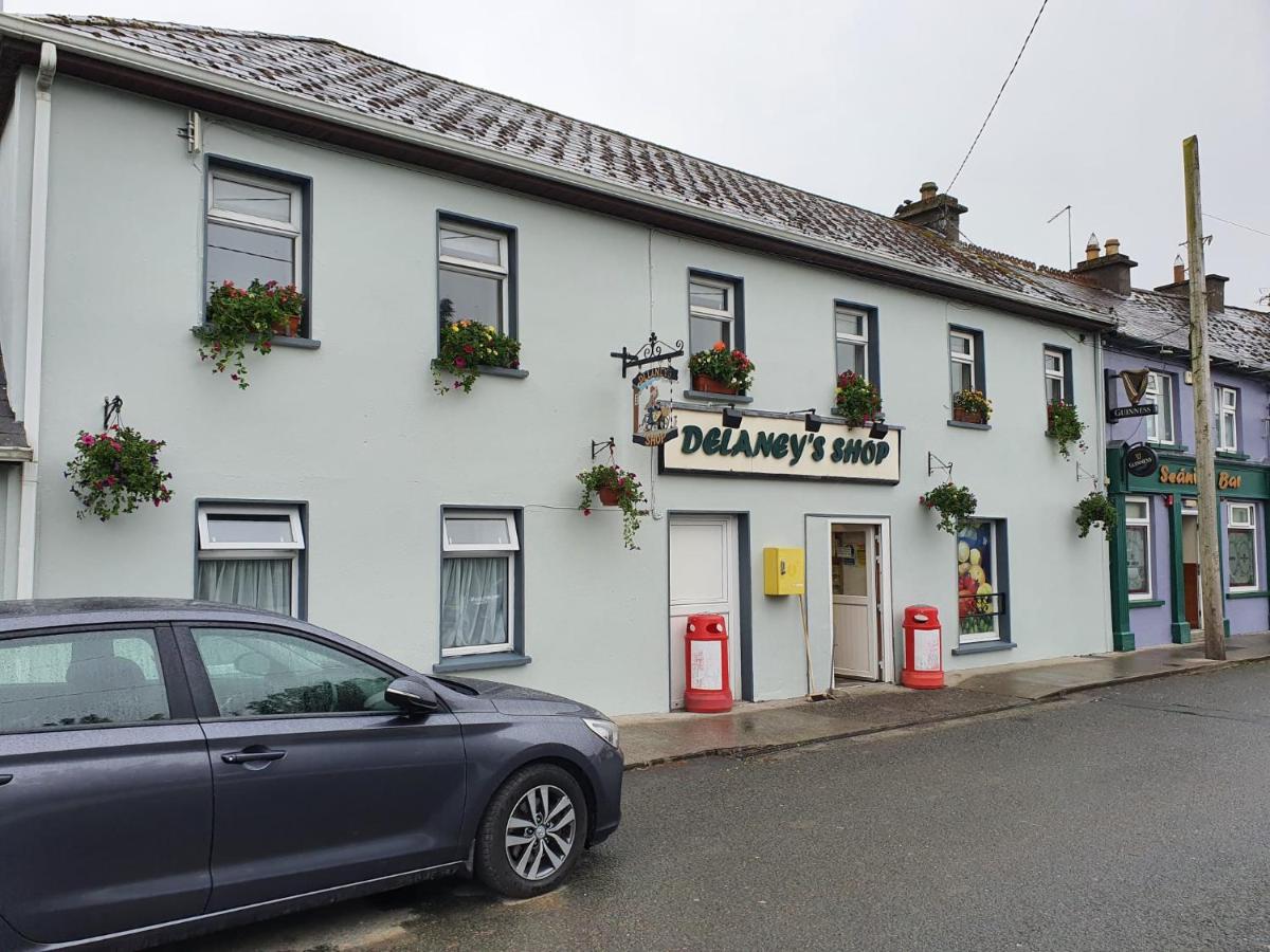 Seanie's guest house - Bed and Breakfast