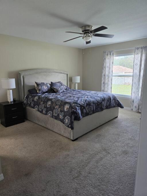 Visit Florida! Near Orlando, Tampa, Ocala & More! - Bed and Breakfast