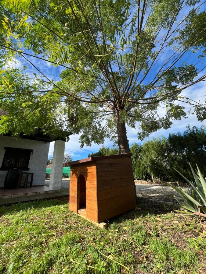 Cabaña Rústica La Pililla - B&B Pilas