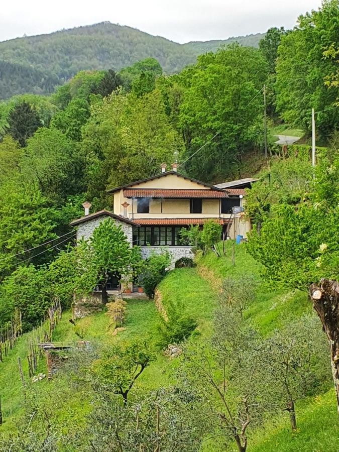 Il Casale di Ernestina - Chambres d’hôtes