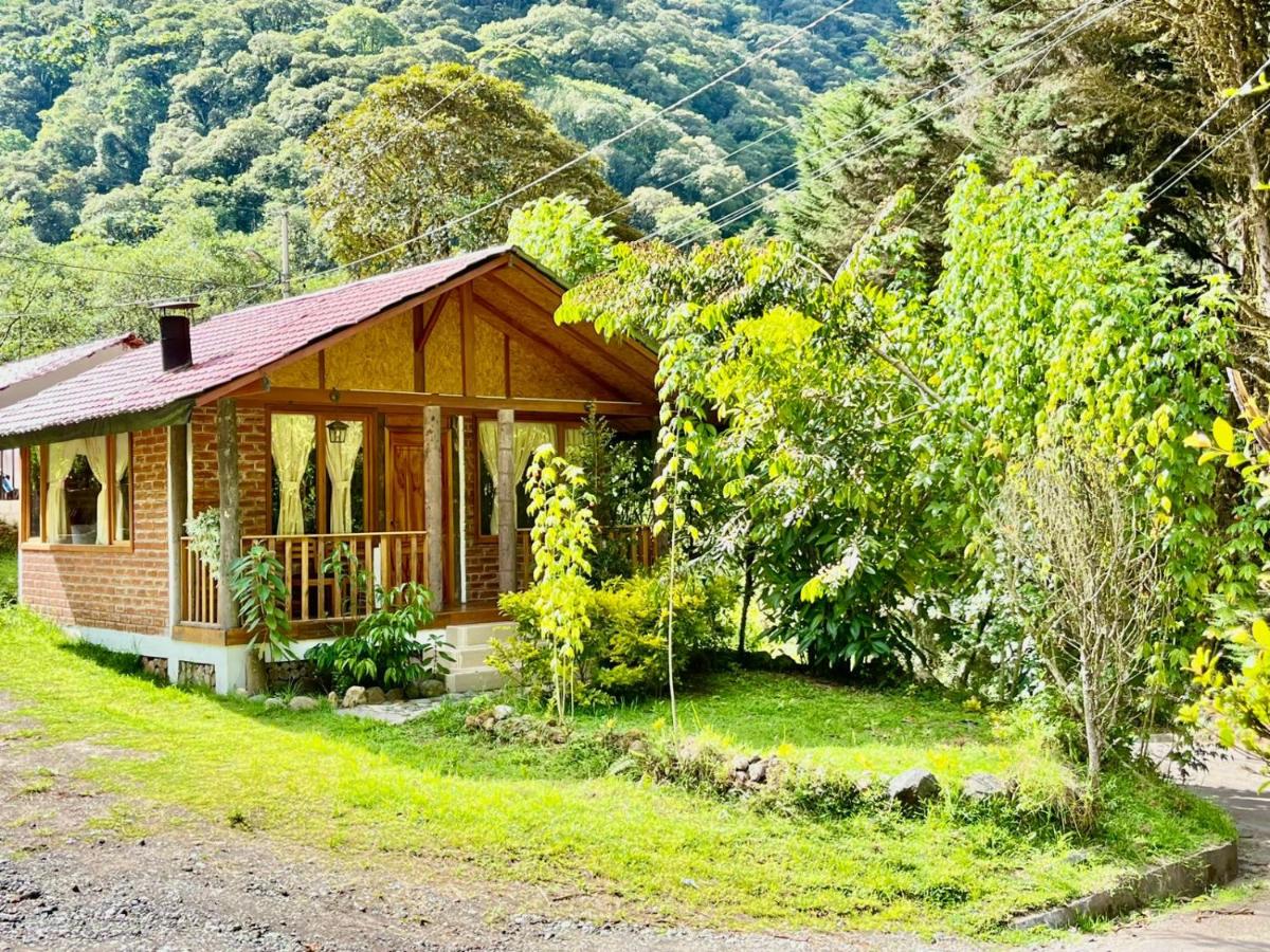 Munay Wasi by Hospedaje Puntzán - B&B
