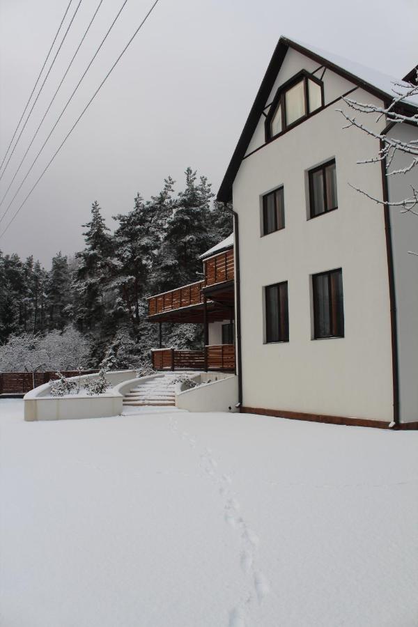 Villa Neubad - Bed and Breakfast