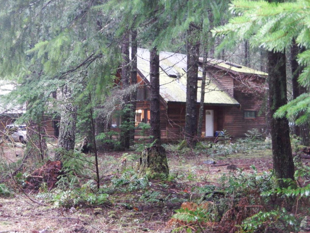 Chalet-style cabin near Mt. Rainier and Crystal - B&B Enumclaw