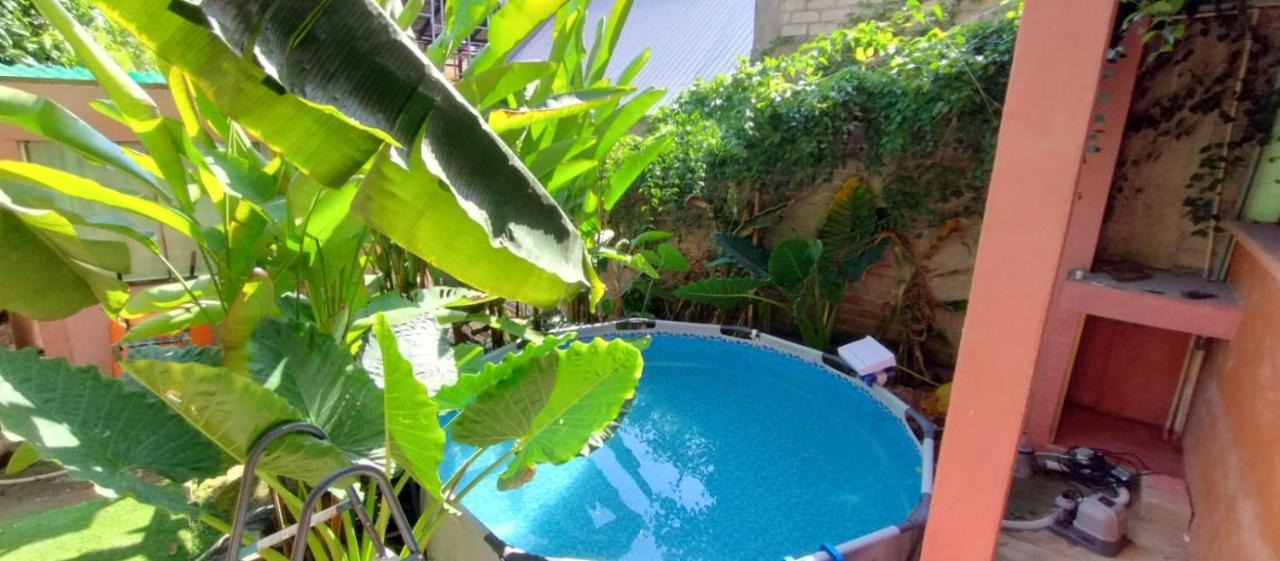 Casa Rosa - B&B