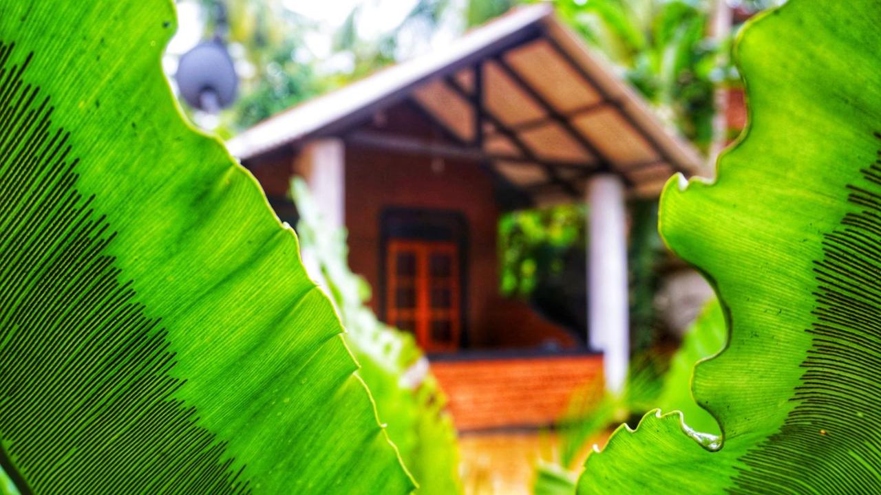 Osheen Homestay Sigiriya - B&B Sigiriya