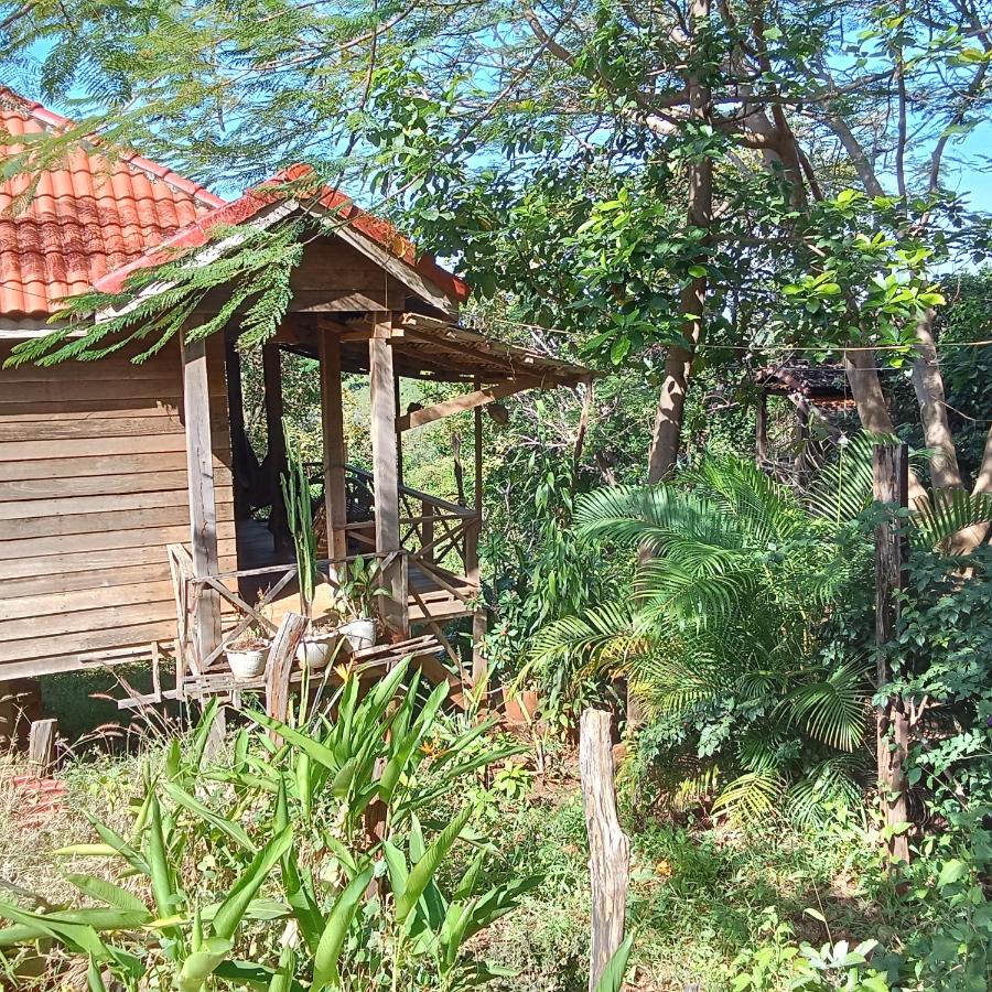 Garden View Lodge & Jungle Tour - Ferienwohnung Phumĭ Pôy