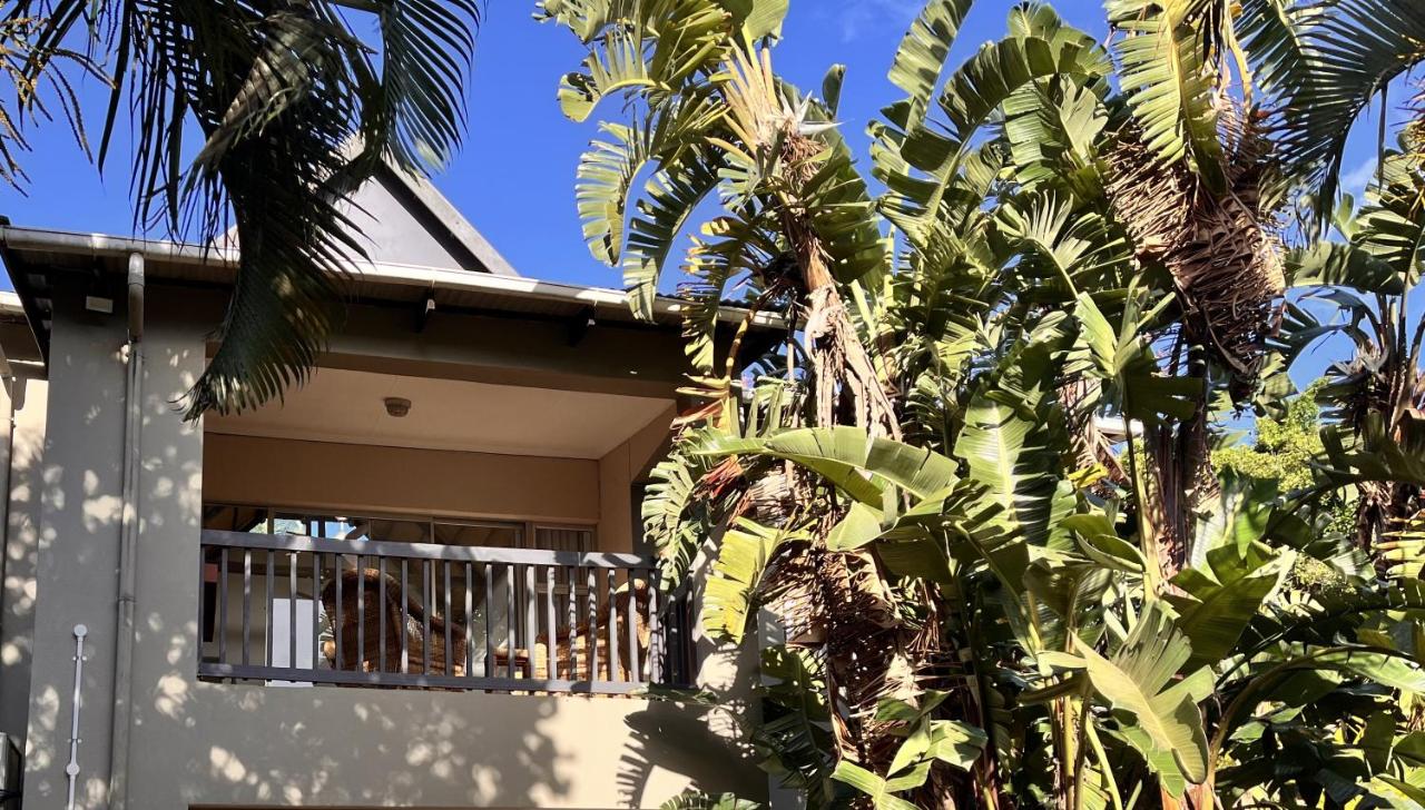 Zulu Sunset Luxury Apartment - Bed and Breakfast