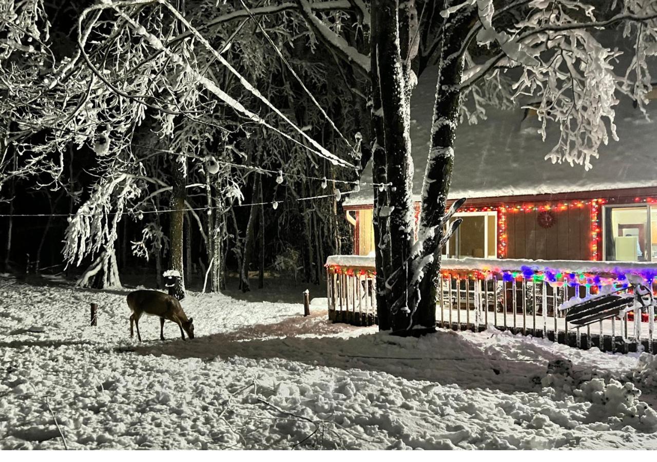 Ski, Unwind, Play Near Big Boulder, Game Room - Bed and Breakfast Blakeslee