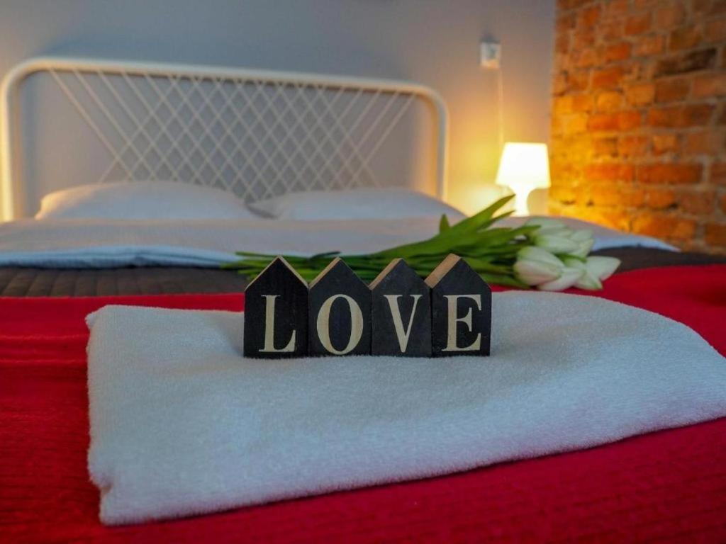 Apartament w Sercu Torunia - Bed and Breakfast Toruń