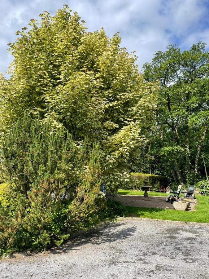 Woodland Cottage - Bed and Breakfast Galway