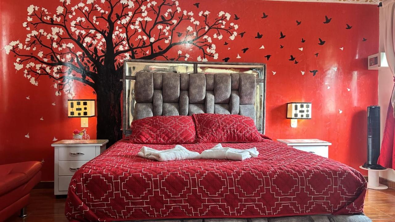 Habitación Estándar - 1 cama grande