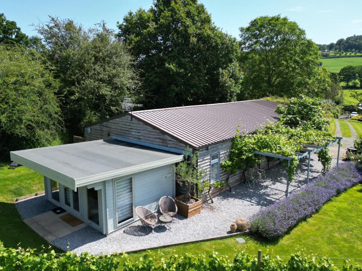 Vineyard lodge in Herefordshire - Ferienwohnung