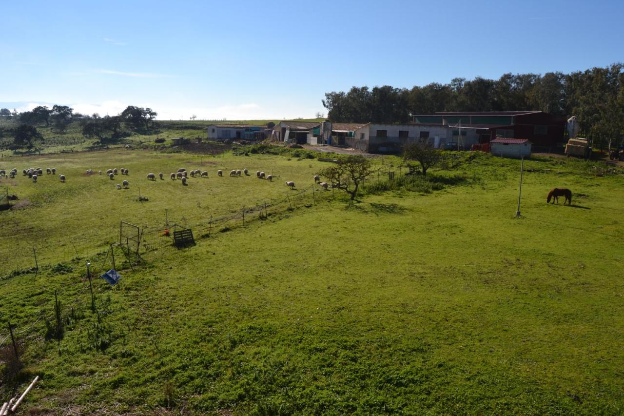 Agriturismo Sa Pigalva - B&B