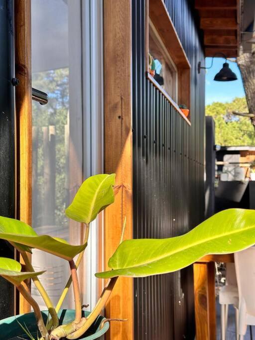 Tiny House Pinamar - B&B