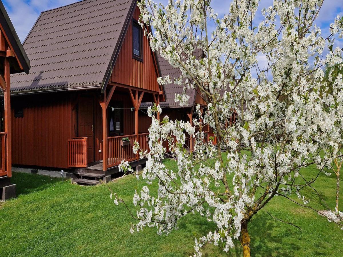 Holiday homes with shared pool, Kolczewo - B&B