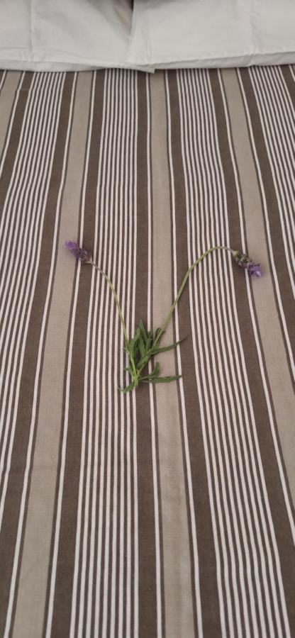 De Rust Karoo Cottages - B&B De Rust