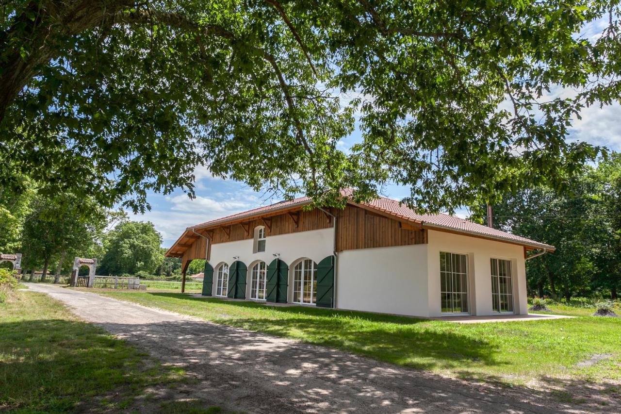 Domaine forestier Darricau au bord du lac, 12 min de l'océan - B&B