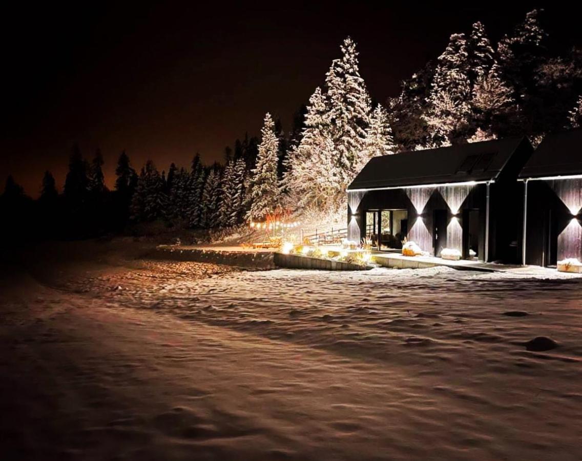 Forest Stodoły - B&B