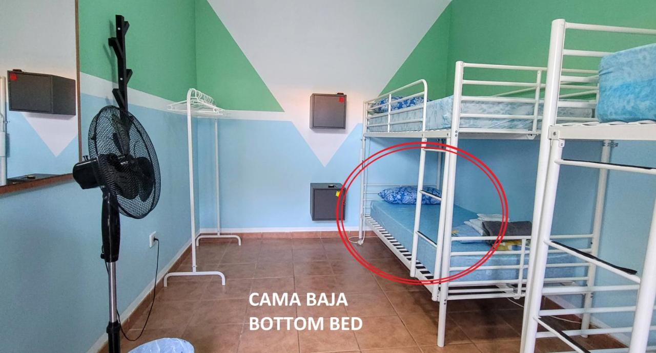 Single Bed in Mixed Dormitory Room