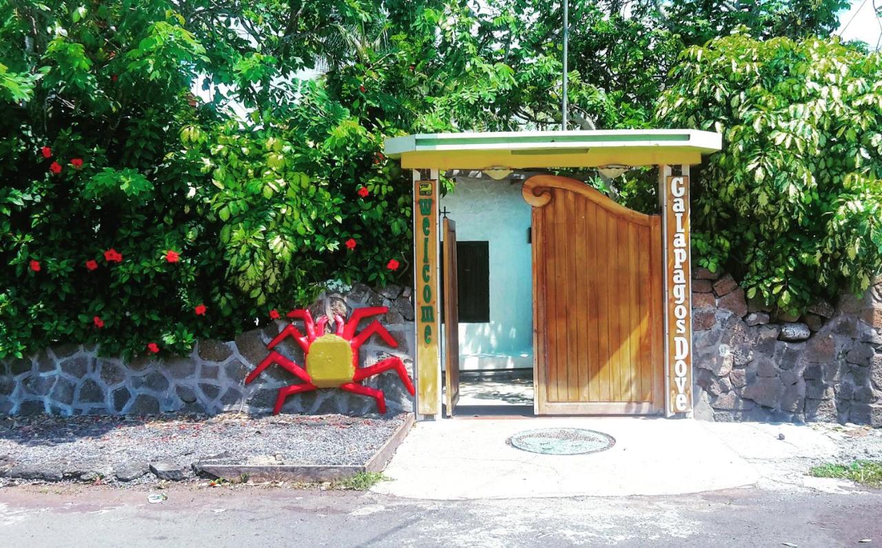 Galapagos Dove - B&B