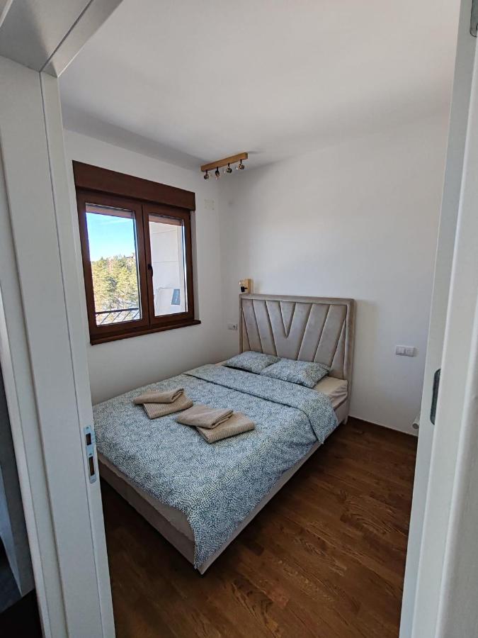 Appartement 1 Chambre