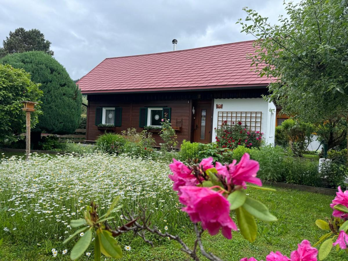 Ferienhaus - Senn-Inn im Zentrum von Schladming - B&B Schladming