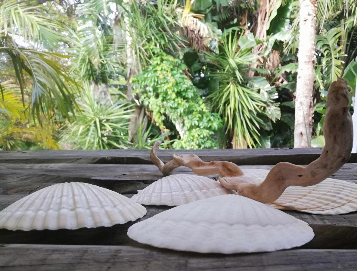 Tranquil Gem - lush garden view & solar energy! - B&B