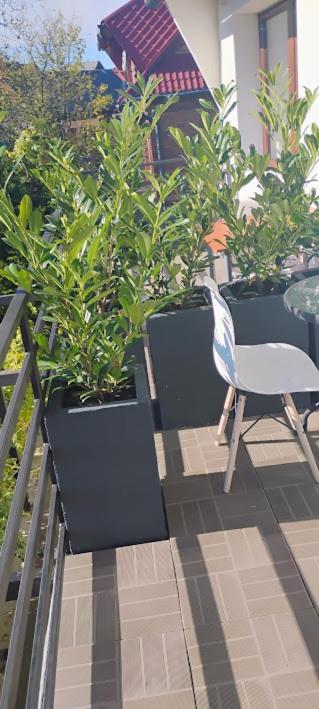 Doppelzimmer mit Balkon