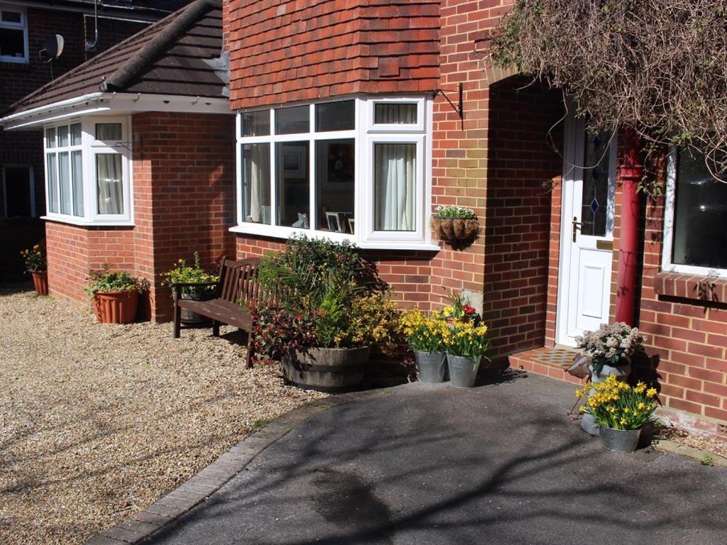 Honey Lodge - Bed and Breakfast