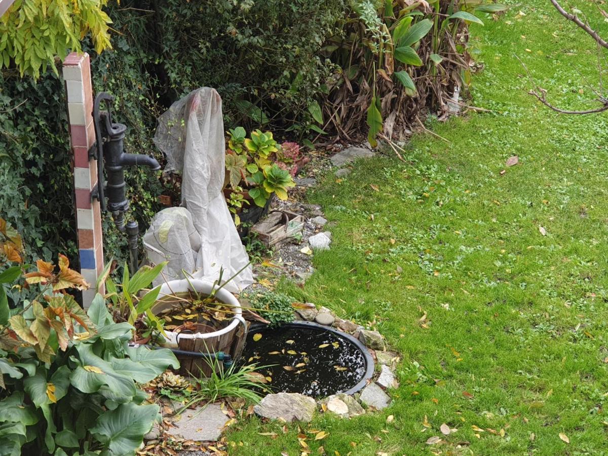 Creativhause 2 - B&B San Giuliano Terme