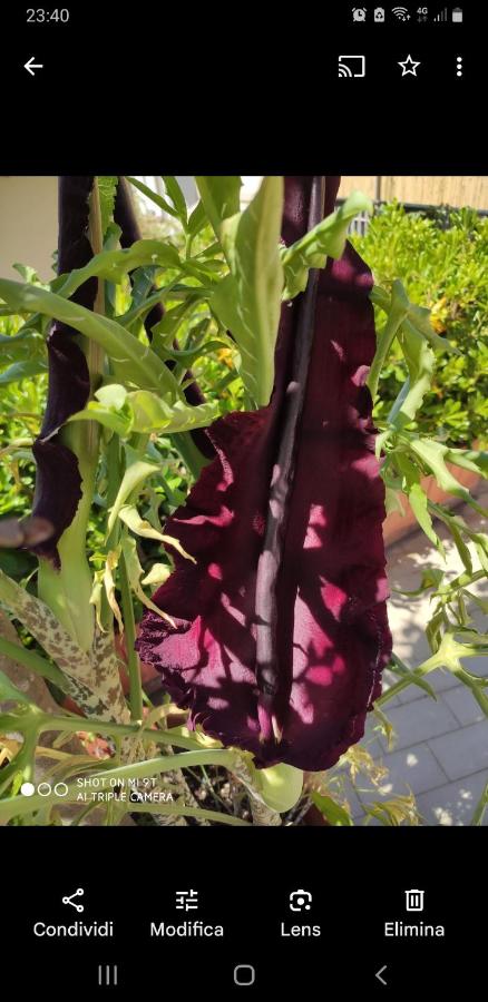 Camera Doppia con Letti Singoli