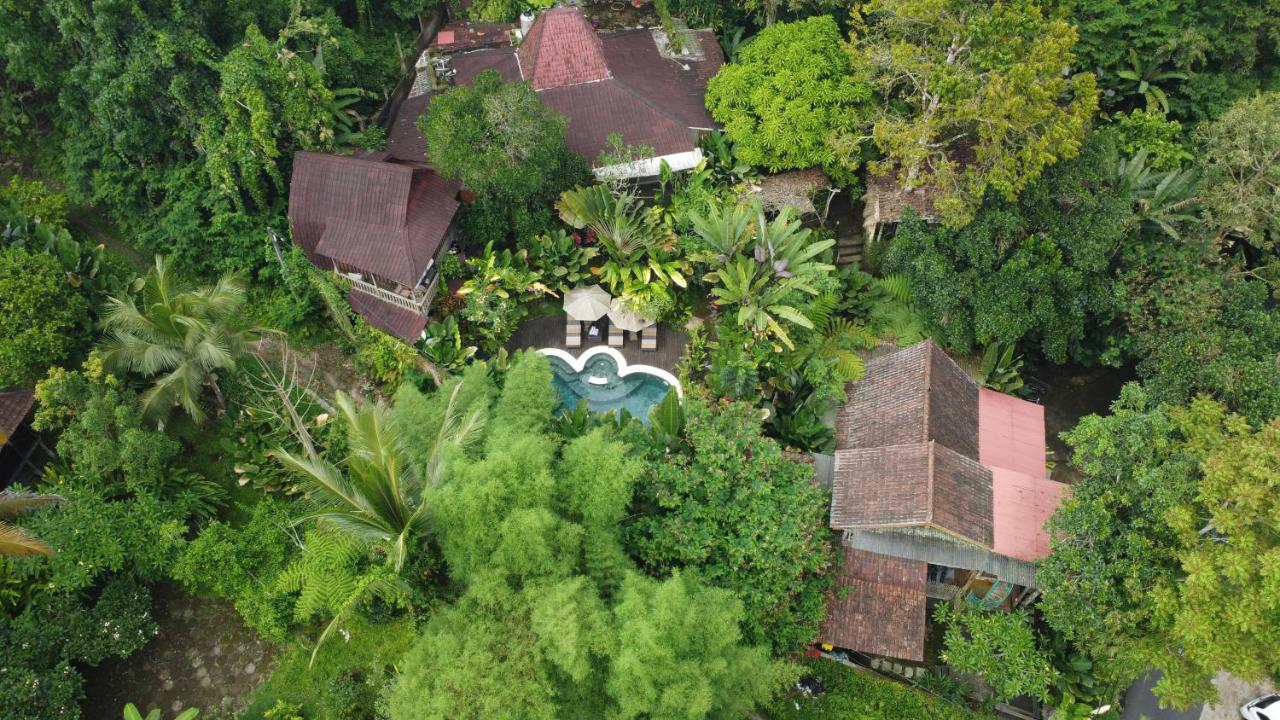 Umah Tis Sebatu - B&B
