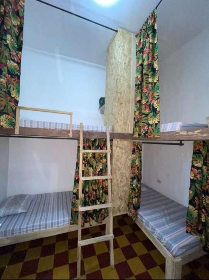 Bed in 4-Bed Dormitory Room