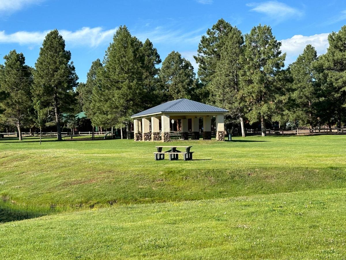 Unforgettable AZ mountain top Views Spacious Suite near Bison Ranch by Vacation Your Way - Chambres d’hôtes Overgaard