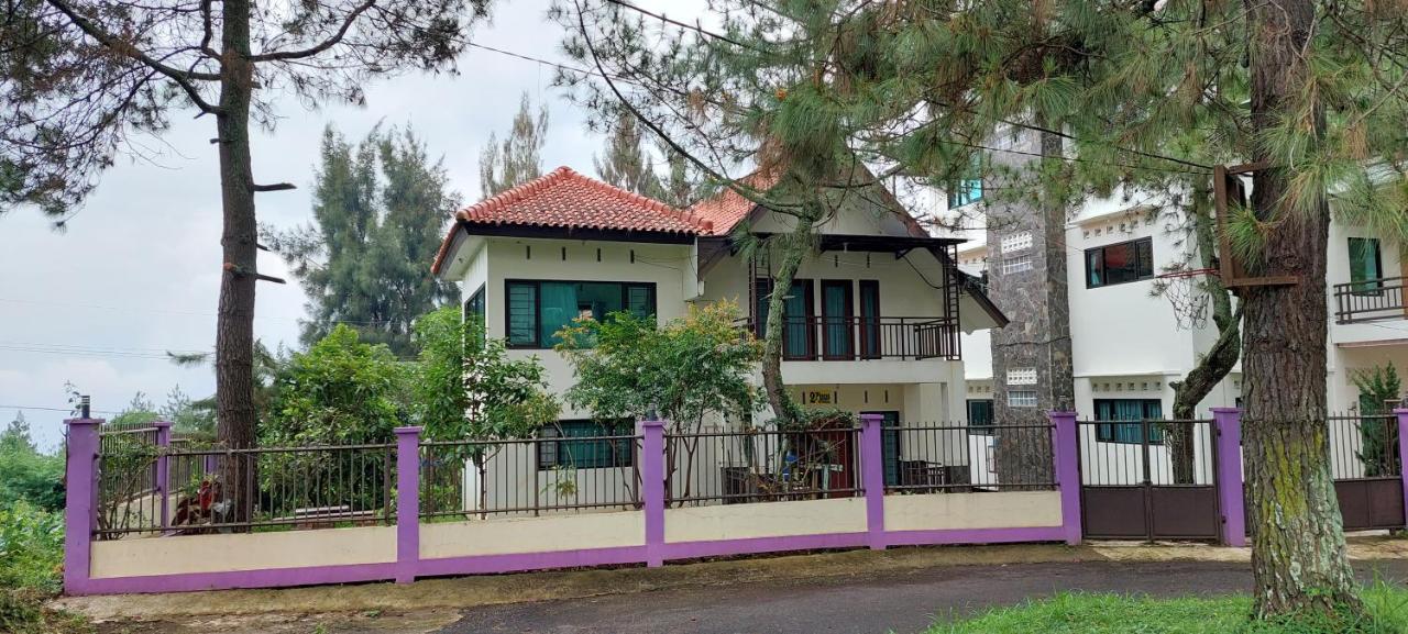 Villa 2Pinus - B&B