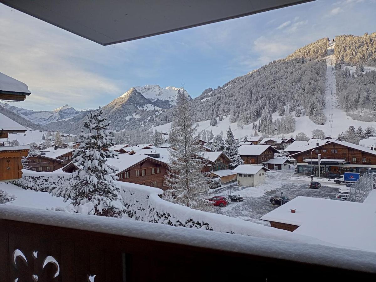 Minutes Walk from Gstaad Center - Great Apartment - Ferienwohnung