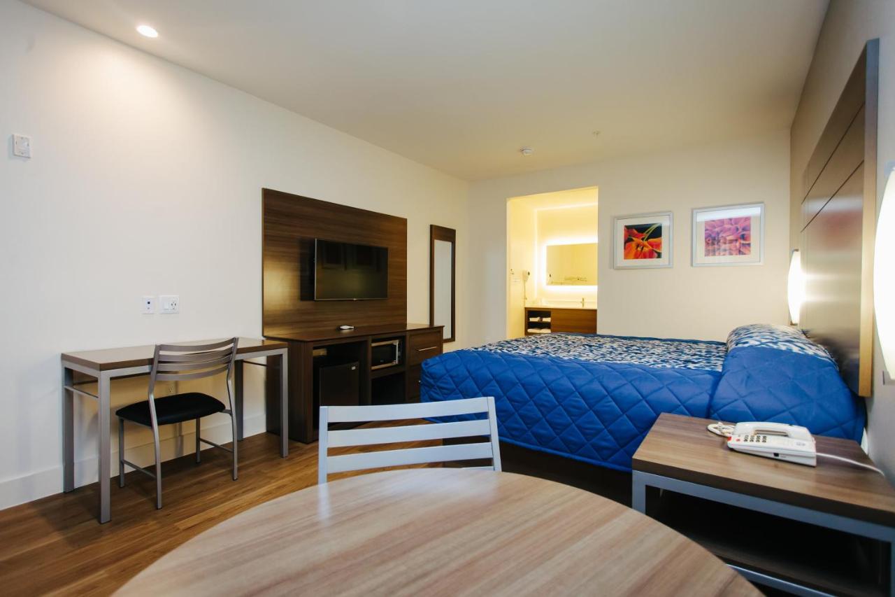 Habitación Superior con cama extragrande
