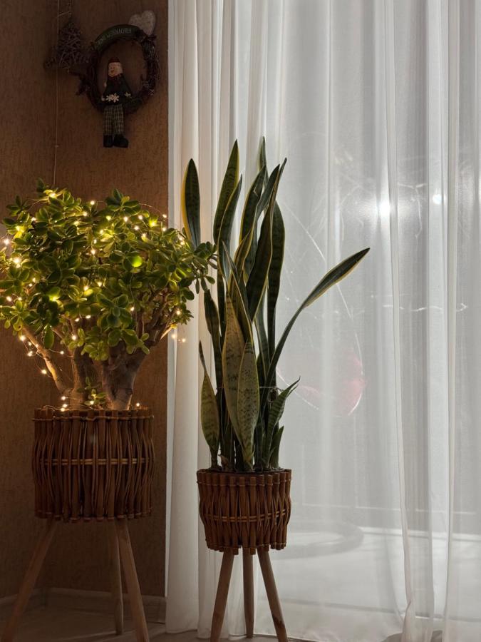 Tamari See - B&B Dedop'listsqaro