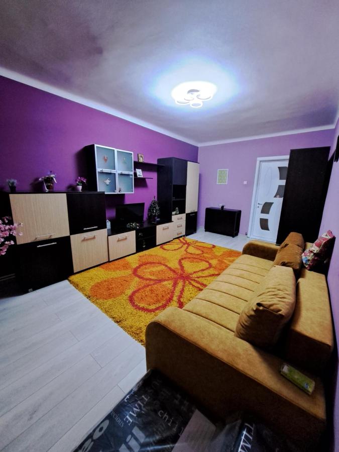 Superior One-Bedroom Apartment