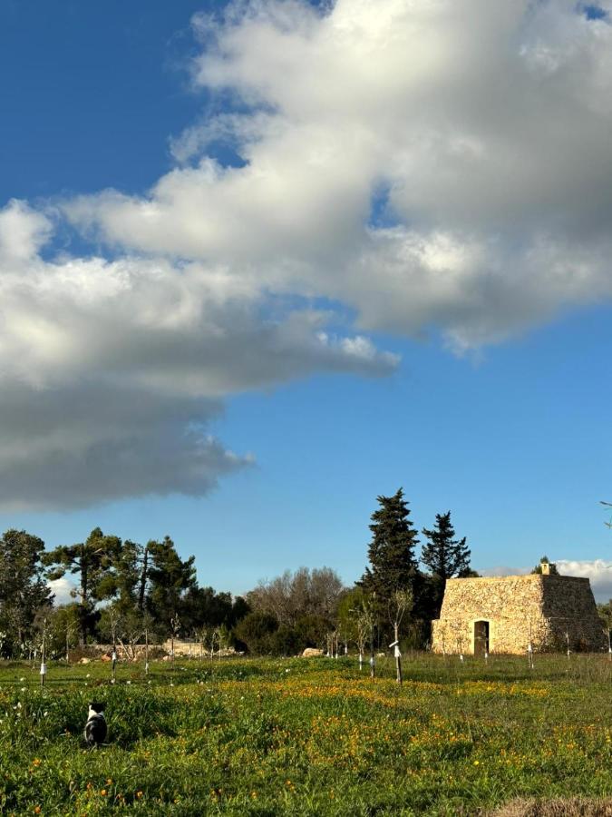 BADIA SAN MICHELE Pajara Aida - Bed and Breakfast Tuglie