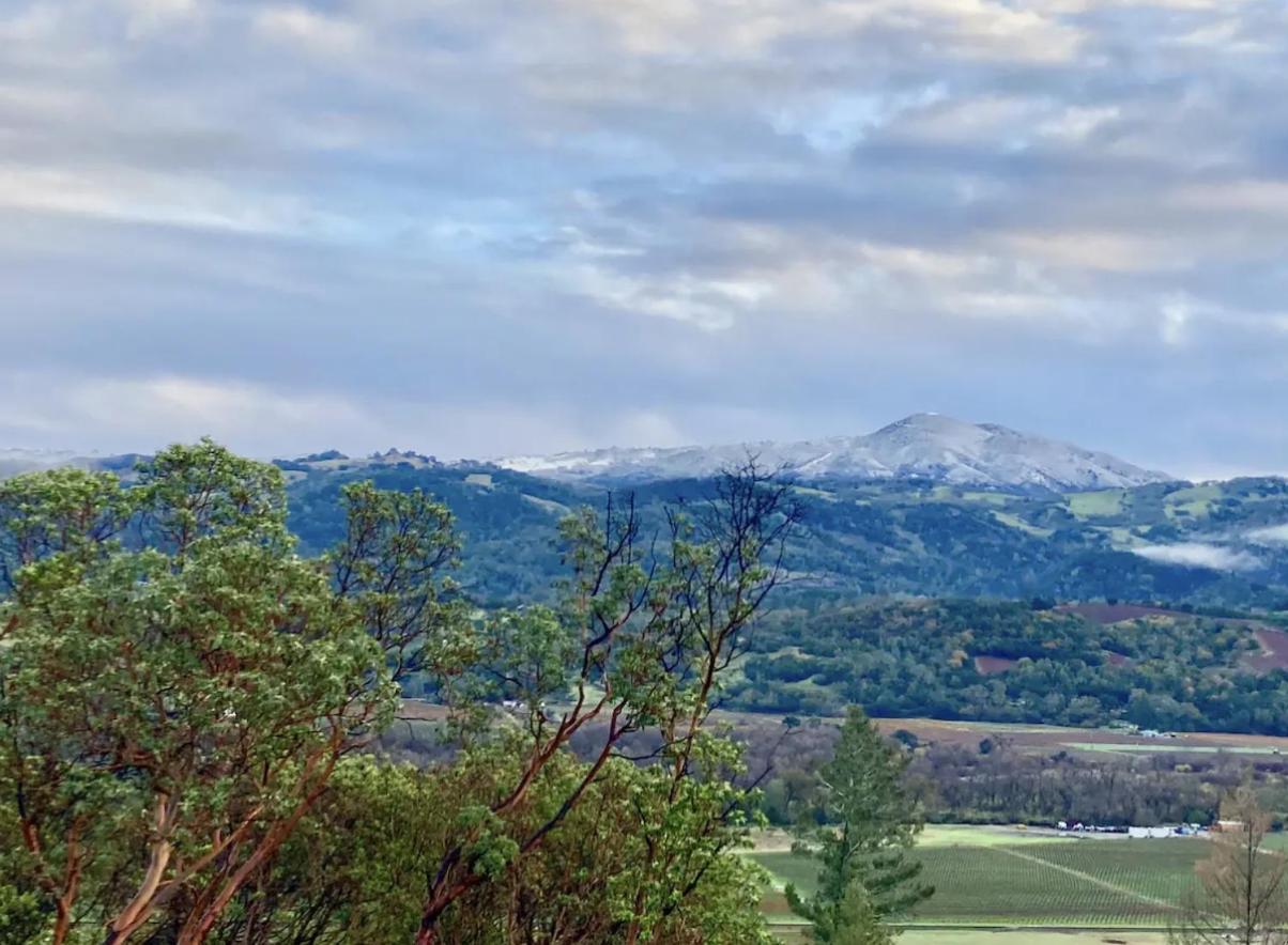 Spectacular vineyard views - B&B Geyserville