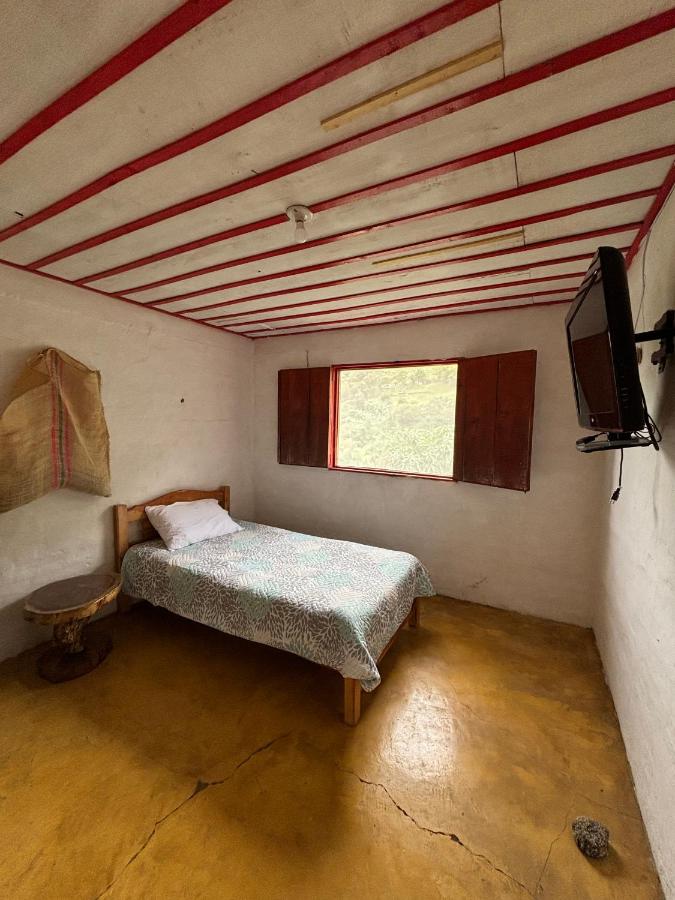 Economy Single Room