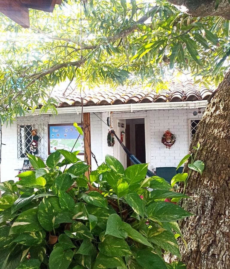 Hostal CORALES - B&B