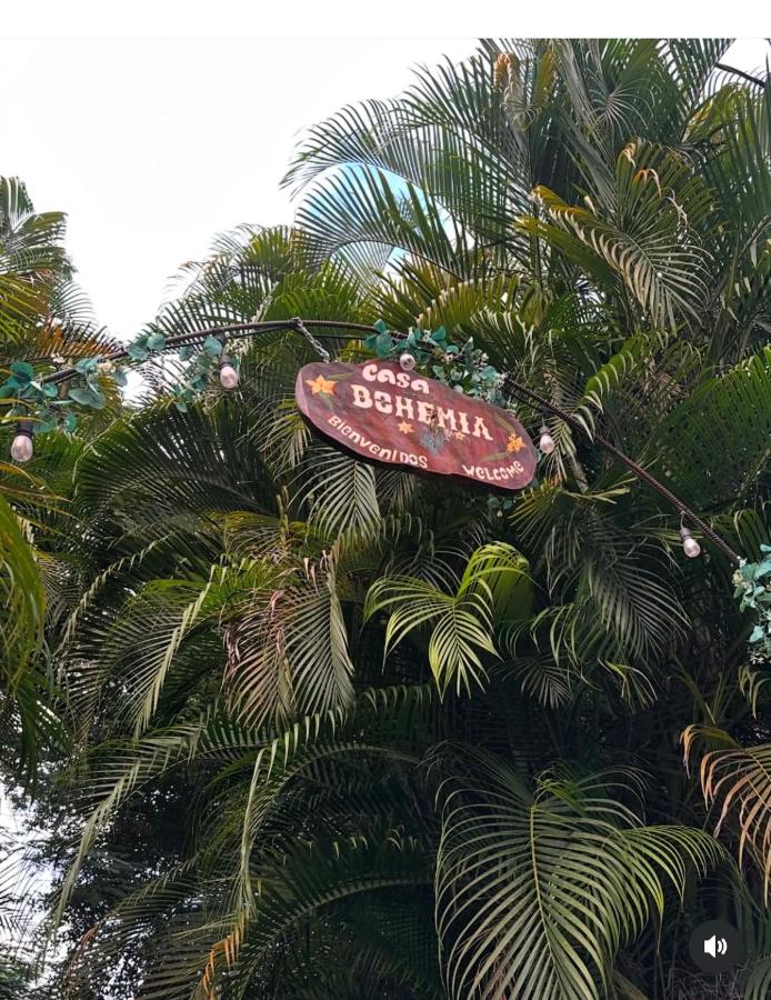 Casa Bohemia - B&B