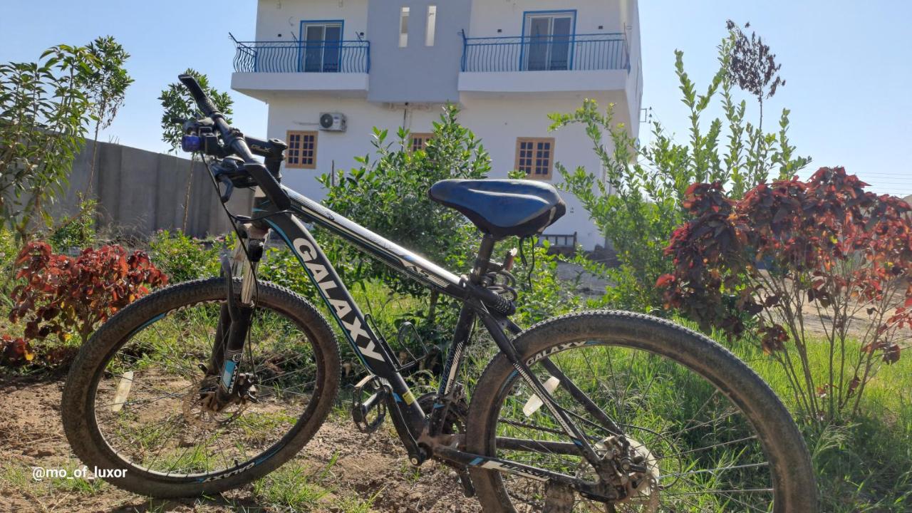 Al Hayat house - B&B