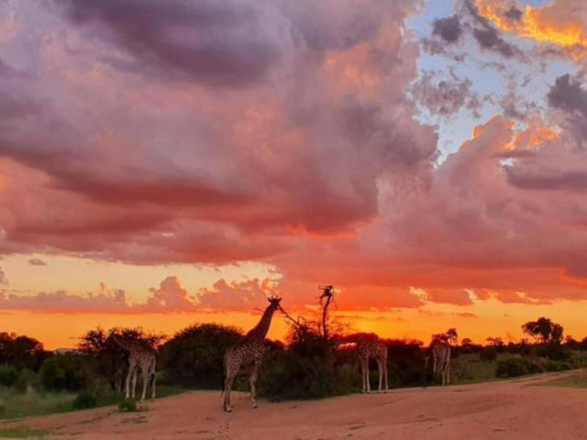 Zebula Golf and Wildlife Estate - Spectacular View Pax 13 - Moi Signature Luxury villa - Chambres d'hôtes Mapella
