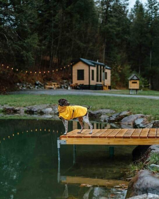 Sage House at Camp Greenwood Vermont with Sauna - B&B Chester-Chester Depot