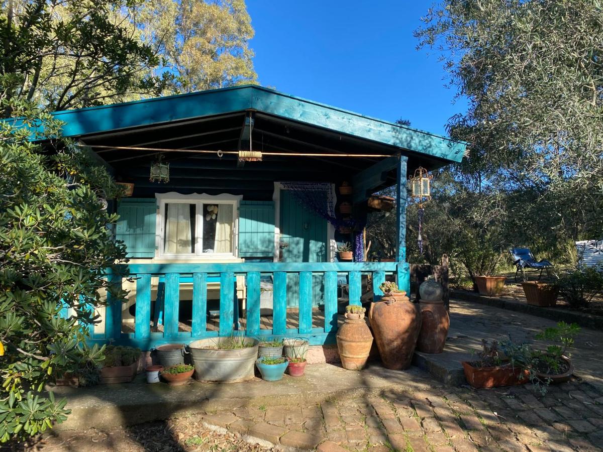La Casetta, Natura e mare - Ferienwohnung Castiglione della Pescaia